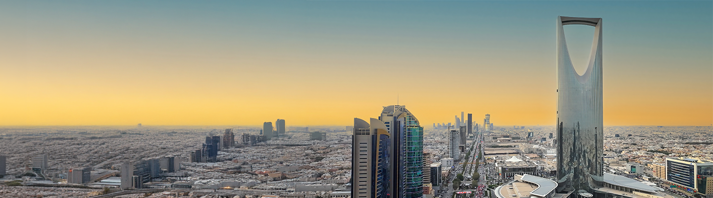 Riyadh large projects