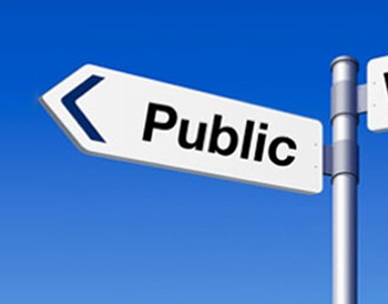 Public Sector